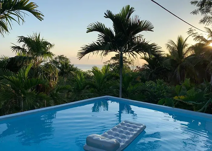 Apartamento The Coconut Palm ~poolside Ocean View *