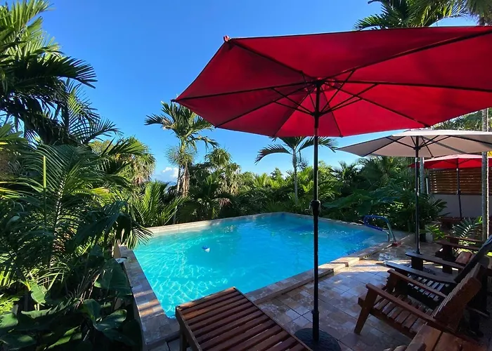 The Coconut Palm ~poolside Ocean View *