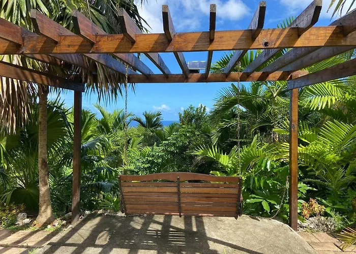 The Coconut Palm ~poolside Ocean View *