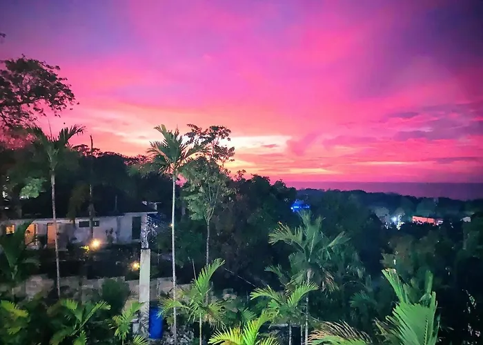 The Coconut Palm ~poolside Ocean View